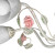 Люстра потолочная 5 плафонов с цветами и листьями российского производства ПЕТРАСВЕТ S2248-5 – фото 3